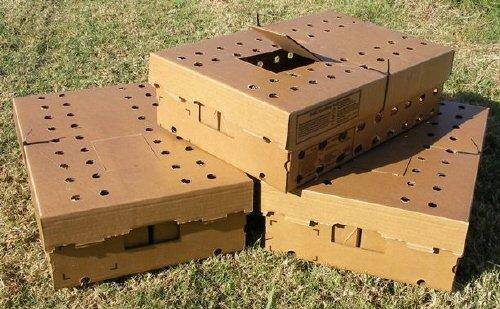 Фото коробки для перевозки индюшат