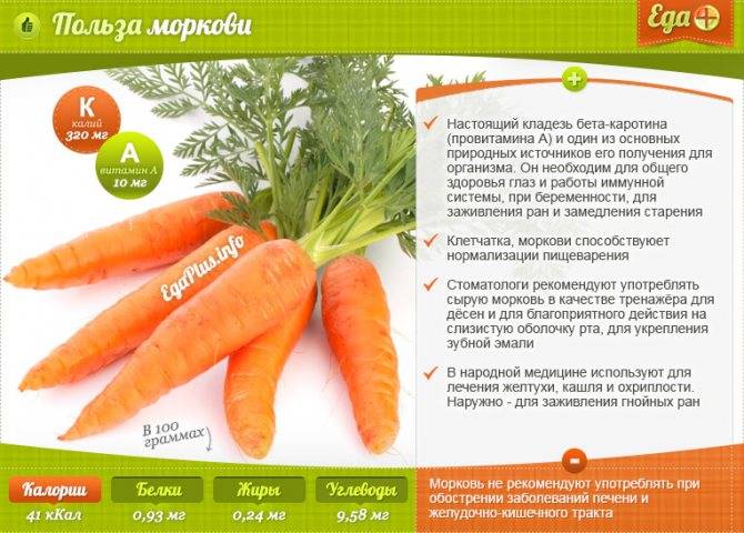 Можно Ли Морковь При Диете