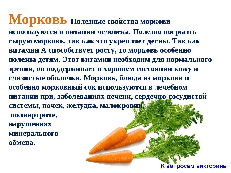 Можно Ли Морковь При Диете