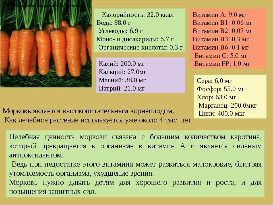 Можно Есть Морковку На Диете