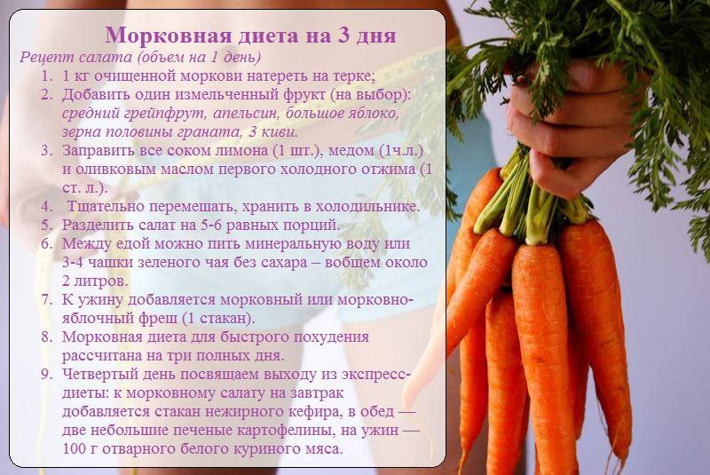 Морковная Диета На 3 Дня