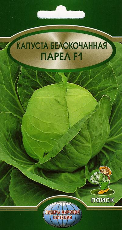 Описание капусты парел: характеристики гибрида