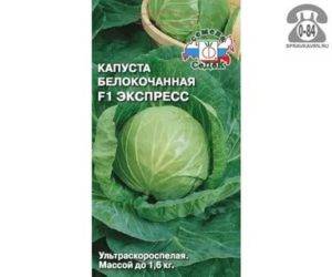 Маринованная капуста "экспресс"