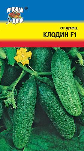 Огурец клавдия f1: отзывы, описание сорта, фото, характеристика