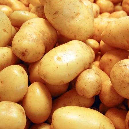 Картофель "зекура": описание сорта, характеристики