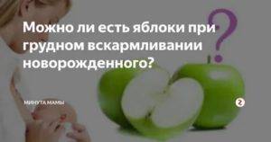 Можно ли капусту кормящей маме? | уроки для мам