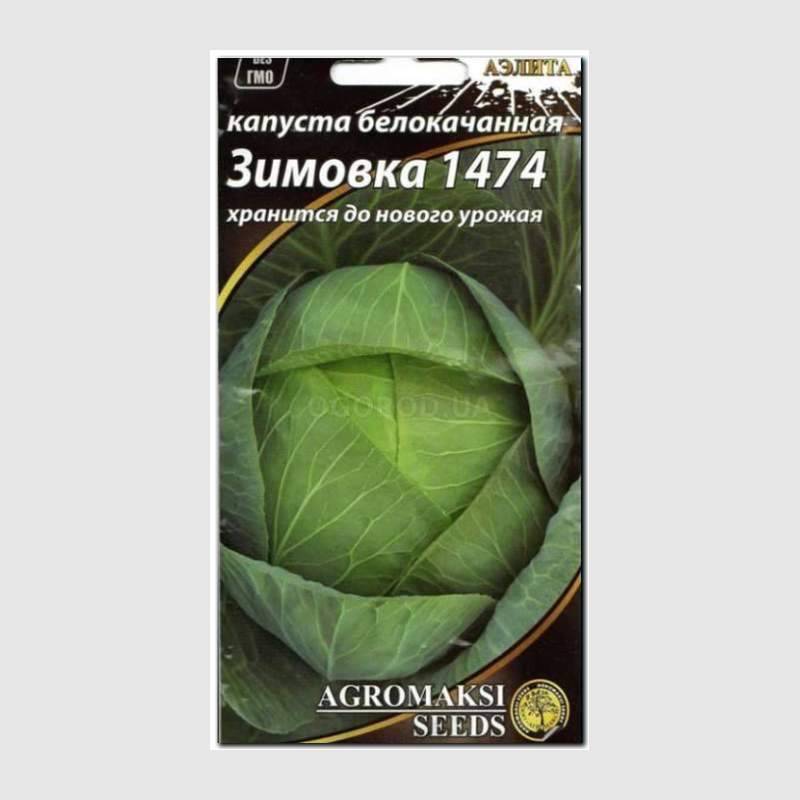 Капуста "зимовка": описание белокачанного сорта с фото, а также общая характеристика, особенности выращивания, ухода и использования после сбора урожая