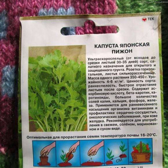 Описание сортов японской капустой, особенности выращивания и ухода