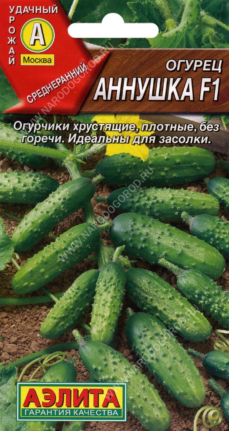 Огурцы сестрица аленушка f1: отзывы, описание сорта и фотографии, посадка, выращивание и уход