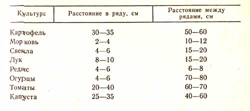 Посадка картофеля: способы, глубина высадки и расстояние между рядами