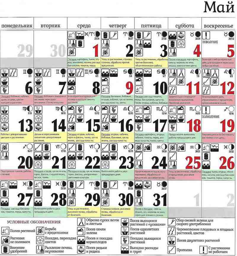 Лунный календарь огородника и садовода на март 2021 года