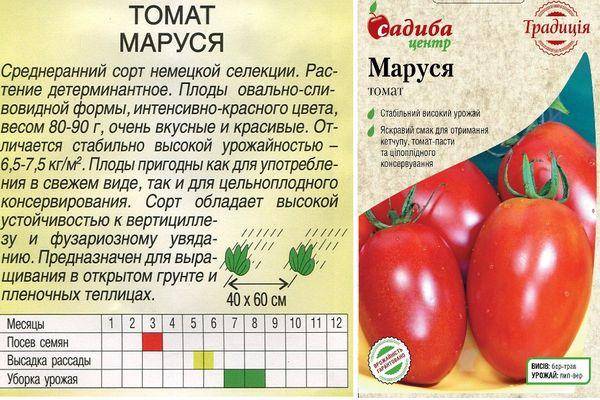 Томат маруся: характеристика и описание сорта, урожайность и фото
