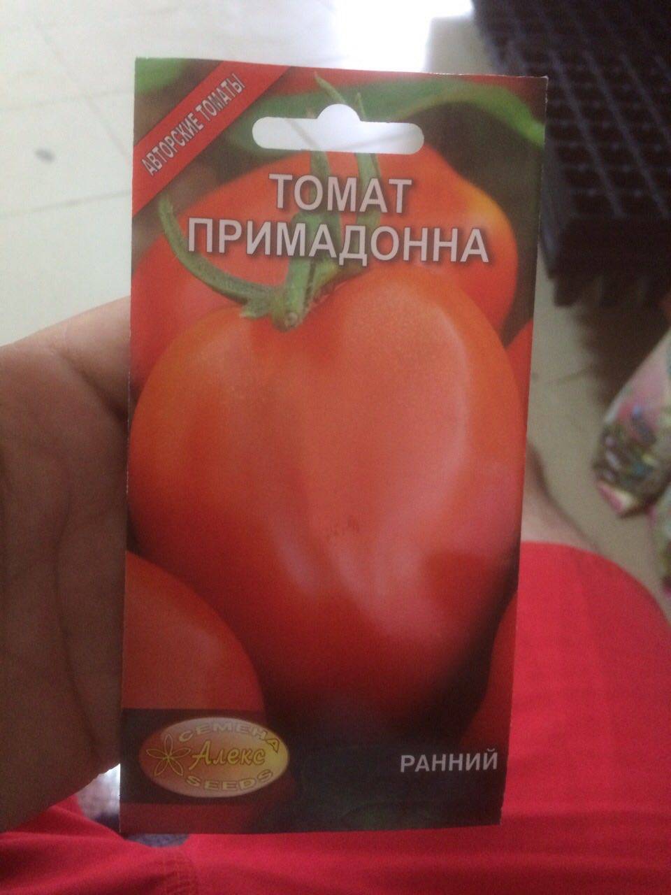 Томат примадонна урожайность. Томат Примадонна f1. Сорт помидор Примадонна. Сорт томатов Примадонна.
