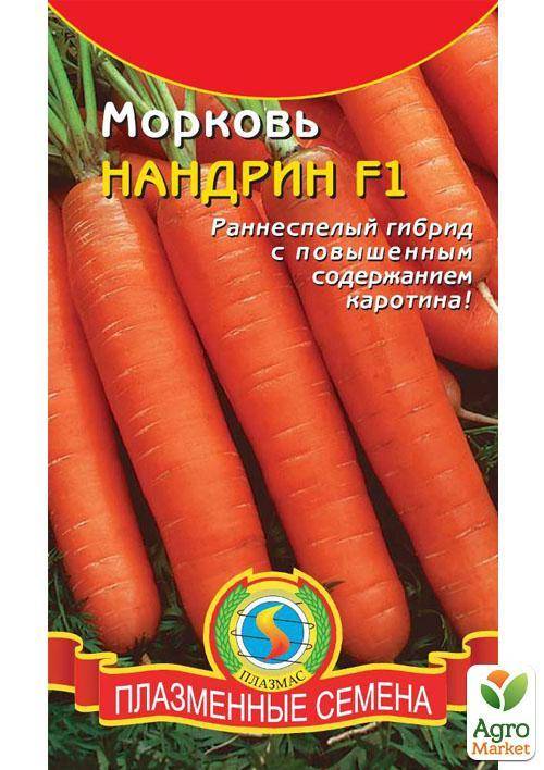 Характеристика, описание и особенности выращивания моркови нандрин