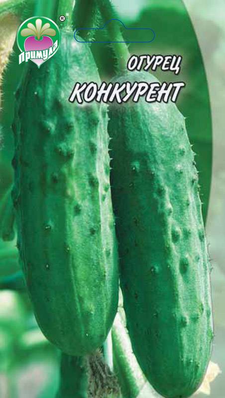 Характеристика и описание сорта огурца конкурент, выращивание и уход