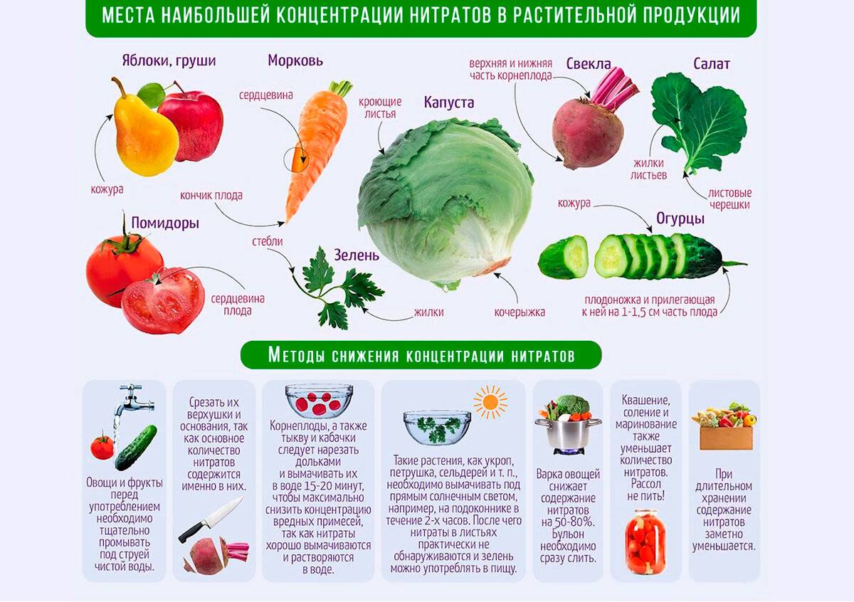 Вред селитры. Нитраты в овощах. Нитриты в овощах и фруктах. Овощи с высоким содержанием нитратов в овощах. Полезные фрукты и овощи.