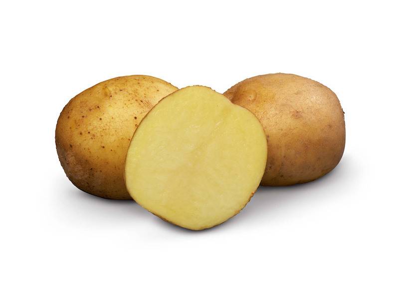 Крепыш картофель характеристика отзывы. Картофель ВР 808. Картофель сорт ВР. Сорт семенной картофель Рамона.