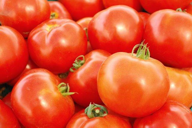 Выращивание томата подарок женщине