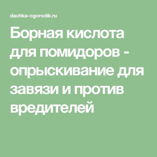 Обработка борной кислотой помидоры в теплице дозировка. Опрыскивание борной кислотой. Борная кислота для томатов опрыскивание. Опрыскивание помидор борной кислотой. Как развести борную кислоту для опрыскивания томатов для завязи.