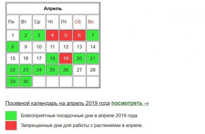 Посадка моркови под зиму в 2019 году