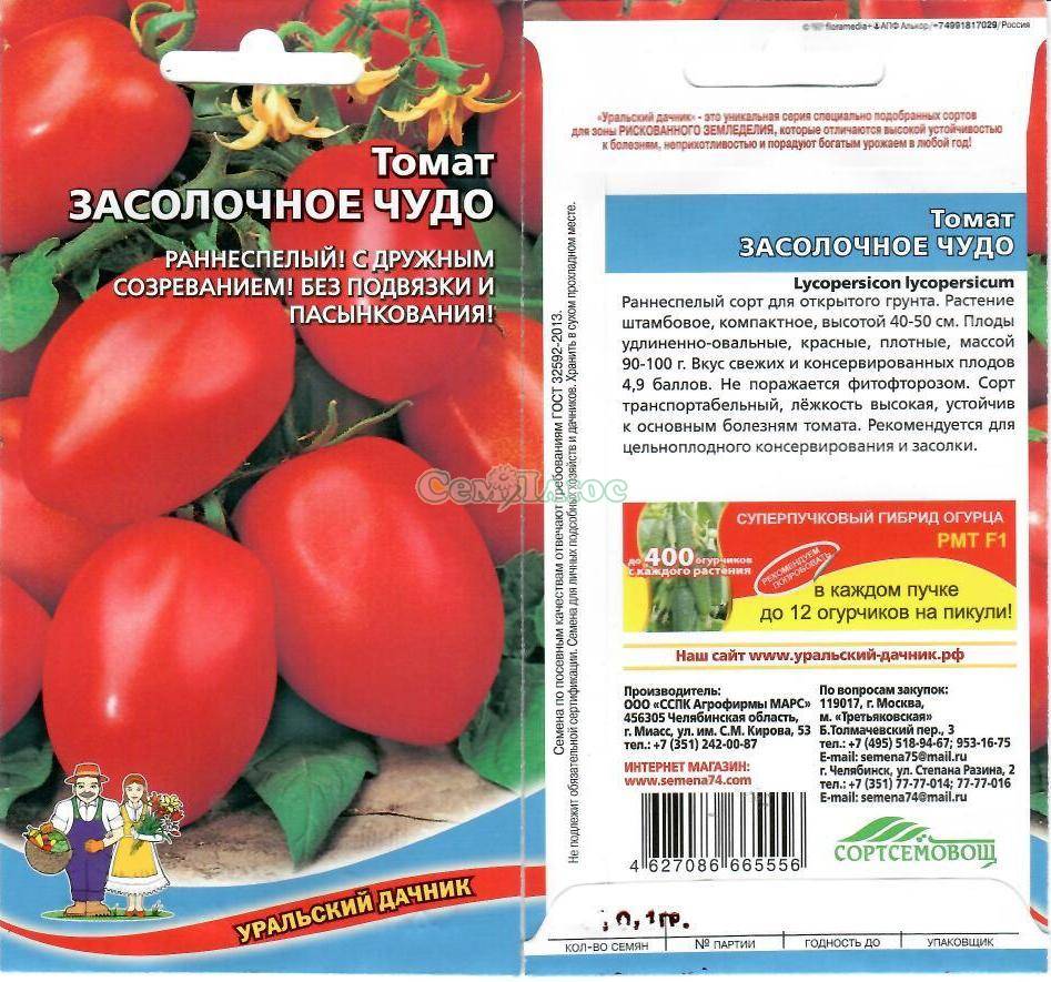 Описание и характеристики сорта томата засолочное чудо, его урожайность – дачные дела