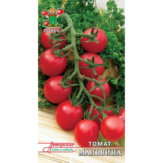 Описание сорта томата мальвина, условия выращивания и профилактика заболеваний