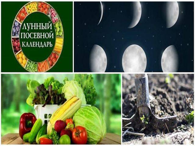 Лунный календарь огородника и садовода на 2021 год