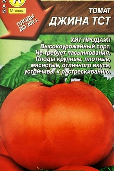 Томат «джина»: характеристика и описание сорта – все о томатах. выращивание томатов. сорта и рассада.