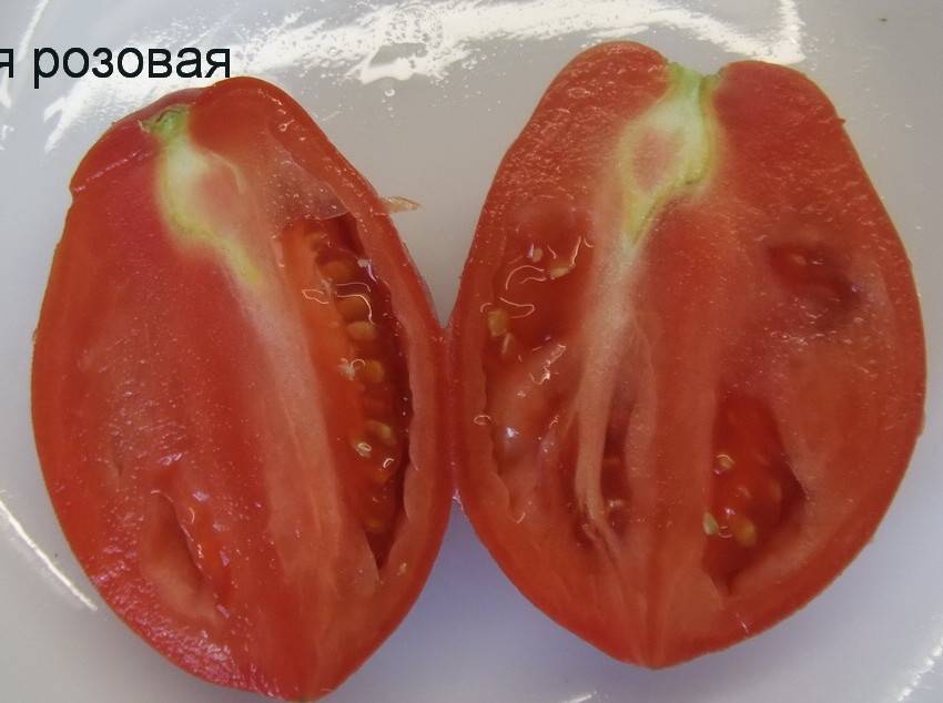 Томат капия розовая характеристика и описание сорта с фото