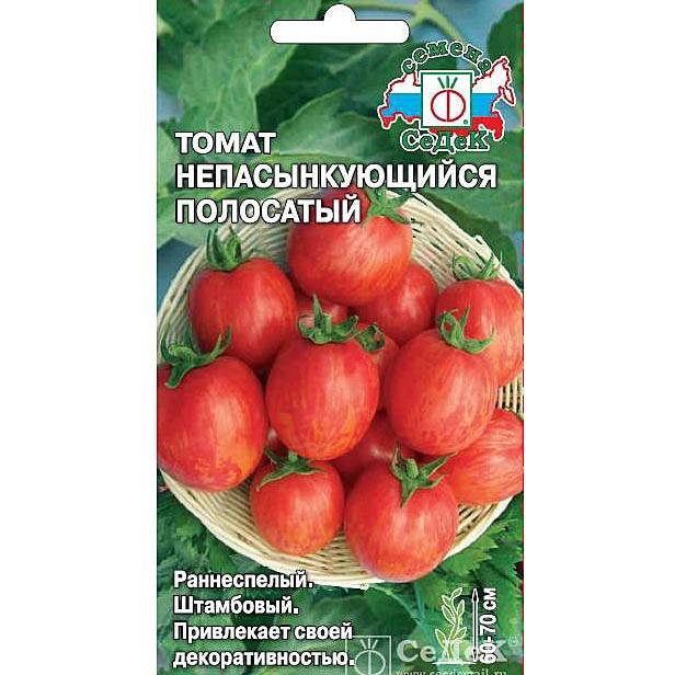 Хороший урожай для засолки — томат непасынкующийся цилиндрический: характеристика и описание сорта