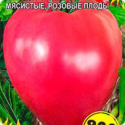 Описание сорта томата королевич, его характеристика и выращивание