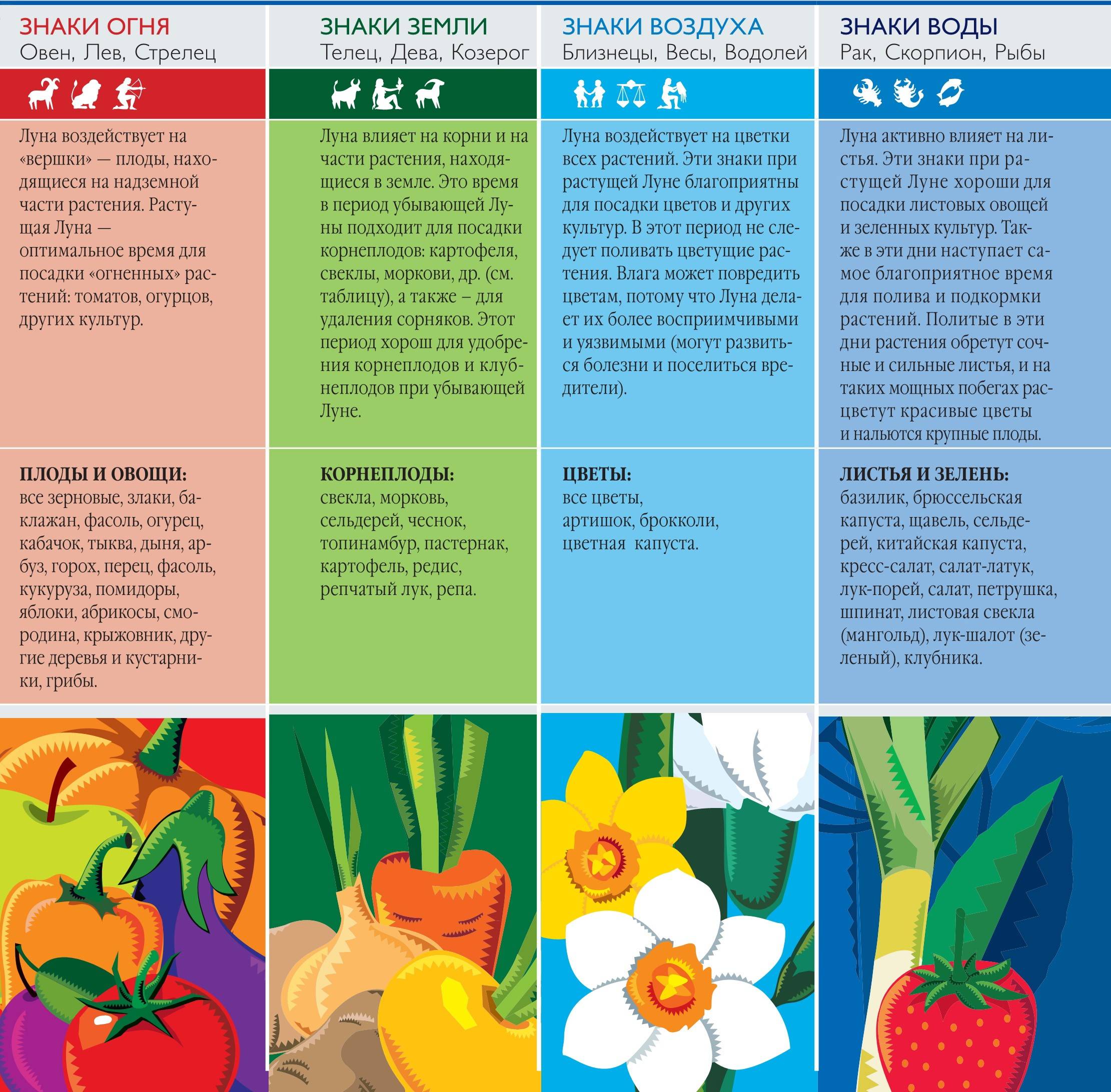 Июль 2021 – лунный посевной календарь садовода, огородника и цветовода!