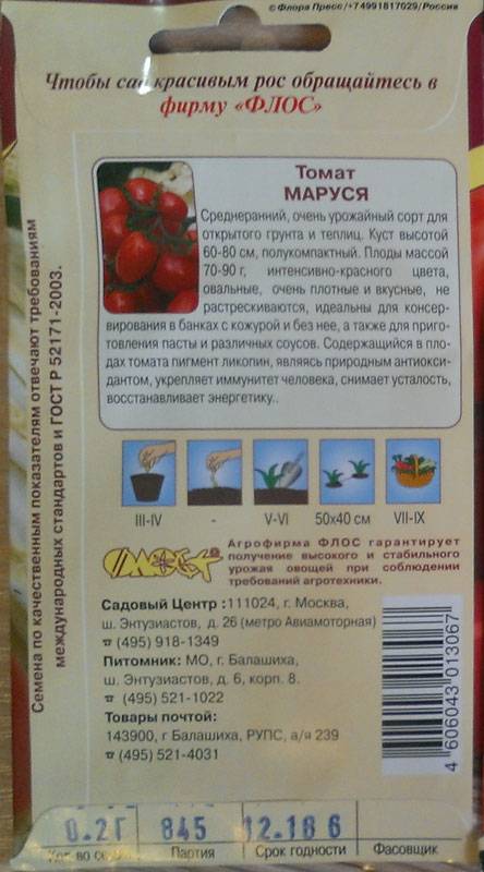 Томат «маруся» — описание сорта: характеристика урожайности и агротехника посадки, ухода и выращивания помидора (фото)