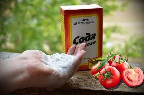 ✅ питьевая сода для рассады томатов и огурцов: как опрыскивать, поливать и удобрять - tehnomir32.ru