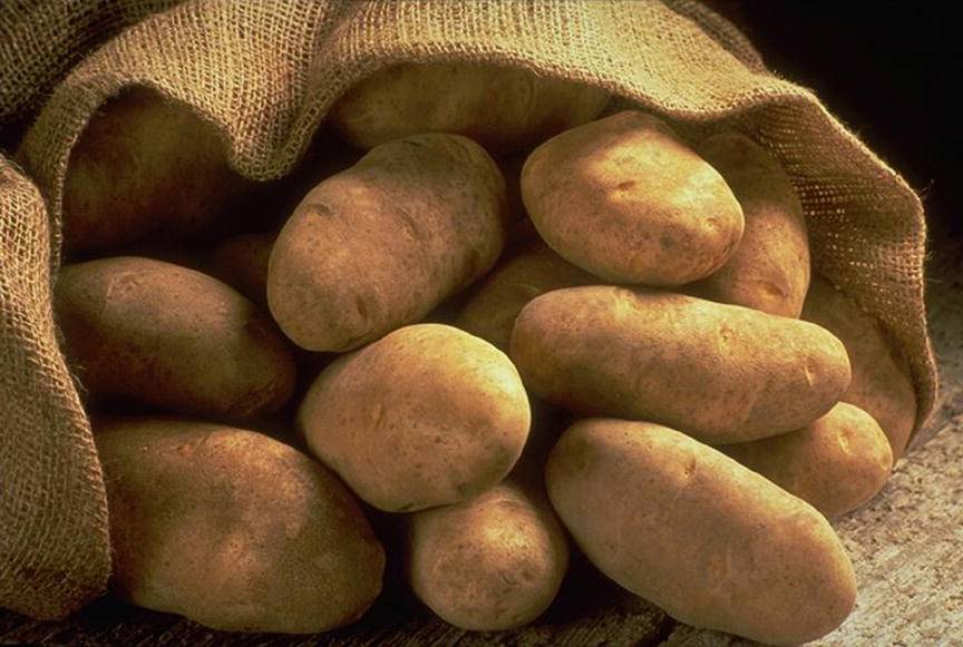 Картофельное пюре: польза и вред | польза и вред