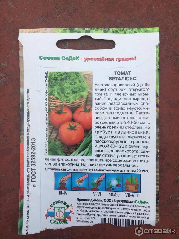 Самые урожайные томаты 2021 года - лучшие сорта для открытого грунта и теплиц, выбор сорта в зависимости от региона выращивания