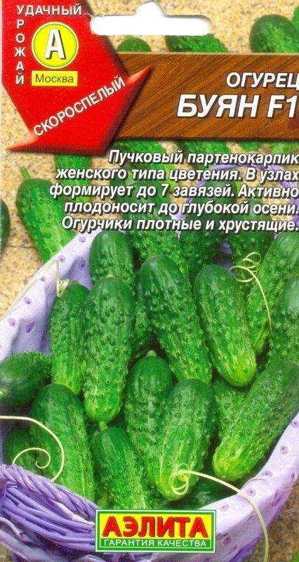 Огурец лихач f1: описание сорта, фото, отзывы, посадка, уход