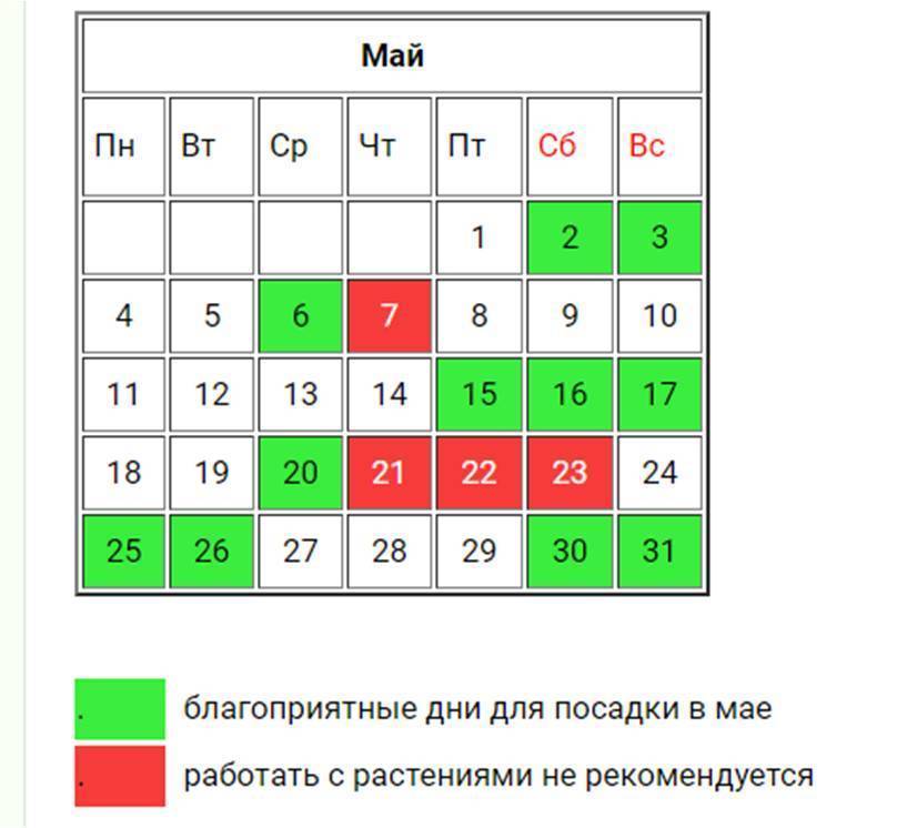 Когда сажать огурцы на рассаду в 2019 году по лунному календарю и регионам