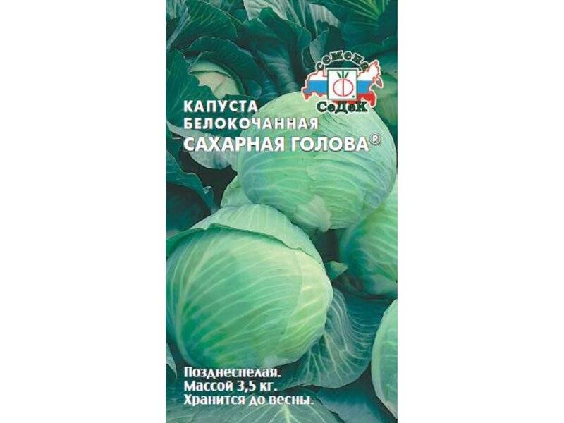 Идеально для сибиряков! сорт капусты сахарная голова — его характеристика и описание с фото
