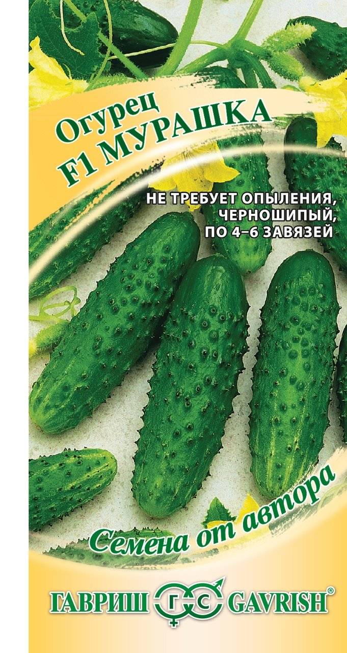 Огурец мурашка f1: описание и урожайность сорта, фото, отзывы