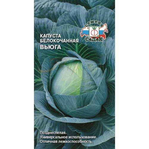 Капуста вьюга описание сорта
