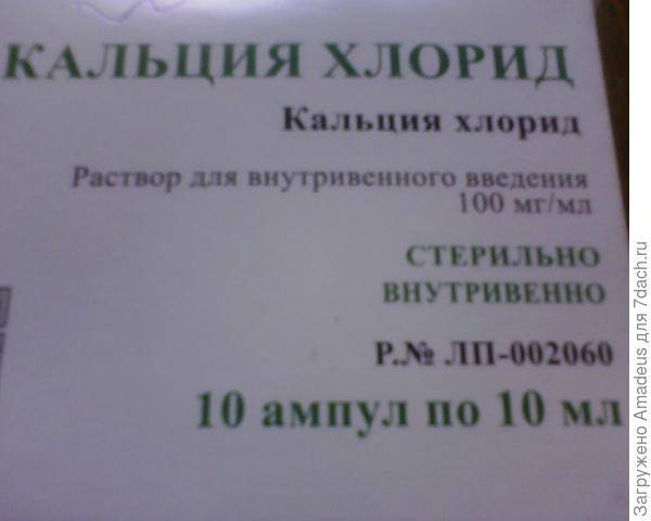 Хлористый калий и его применение в саду и огороде