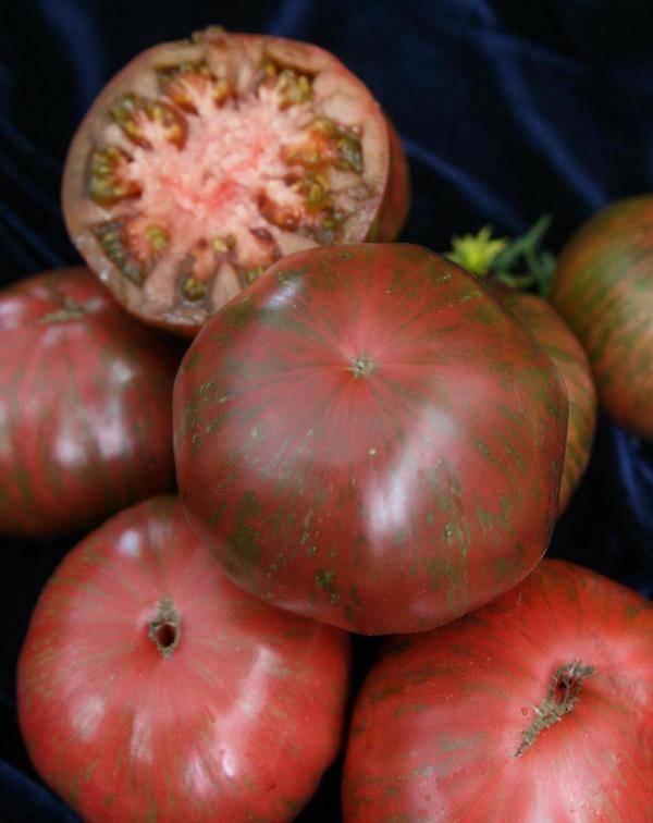 Томат полосатый шоколад: описание сорта и характеристика, отзывы об урожайности, фото помидоров