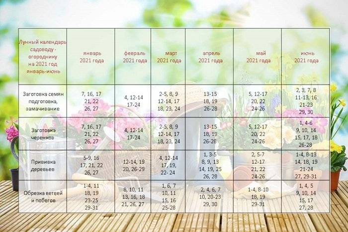 Лунный посевной календарь на 2021 год: садовода, огородника, таблица посева