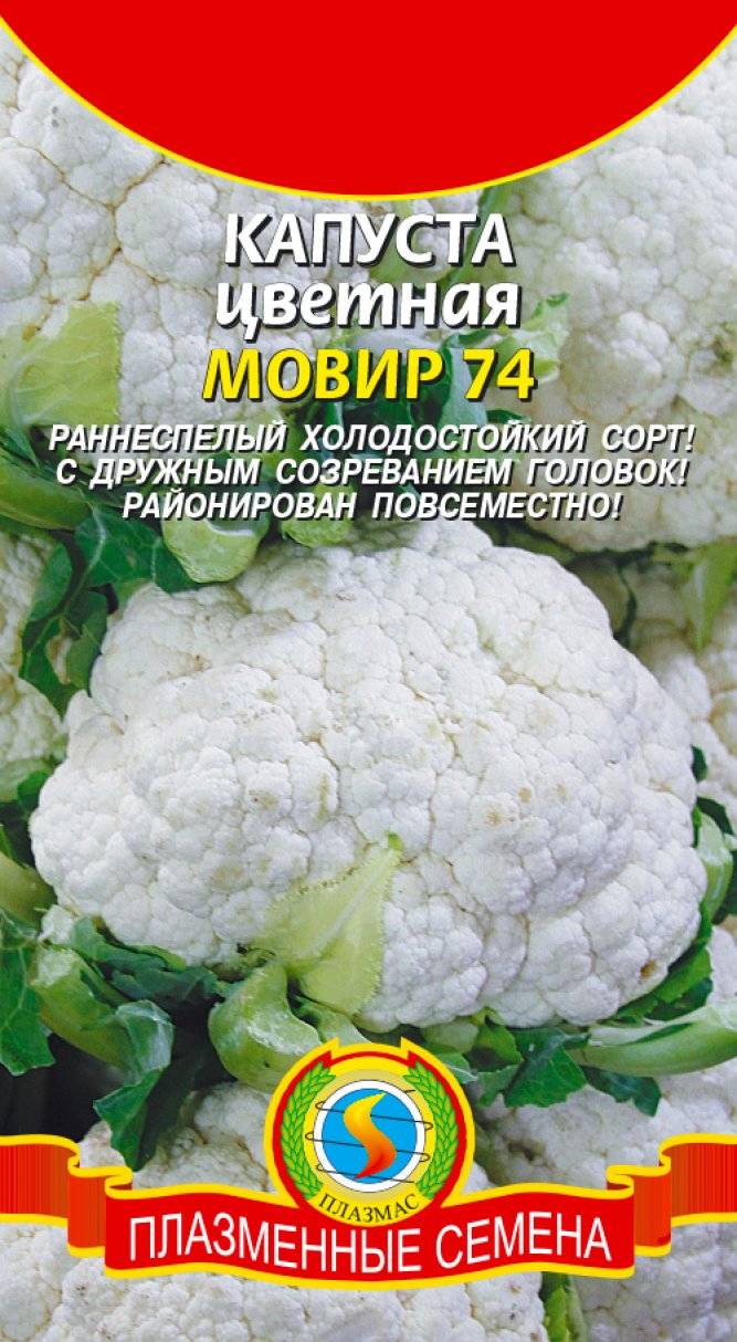 Капуста цветная мовир 74 фото