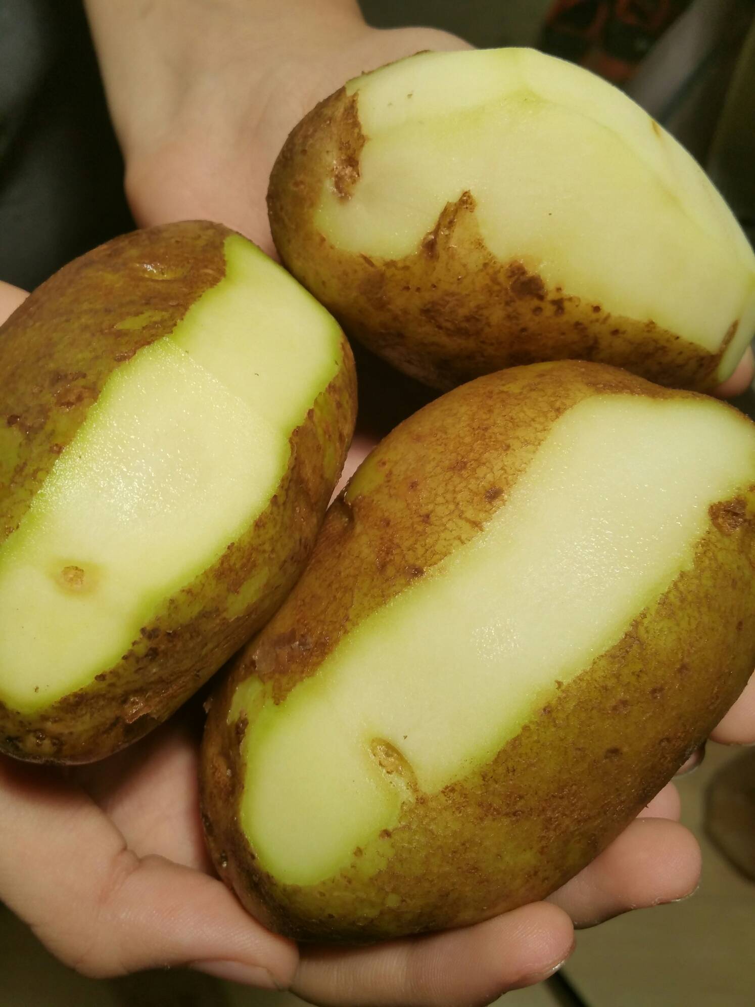 Зеленый картофель можно. Картофель с зеленой кожурой. Соланин в картофеле. Зеленые клубни картошки. Позеленевшие клубни картофеля.