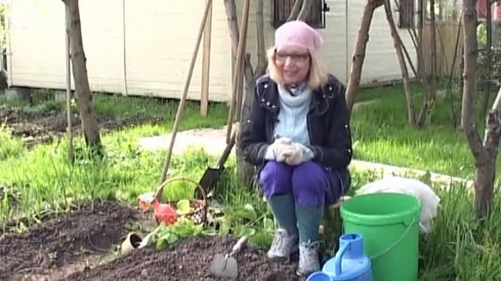 Как вырастить огурцы в теплице октябрина ганичкина