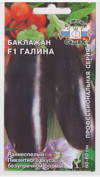 Галина баклажан: описание, выращивание, уход, фото