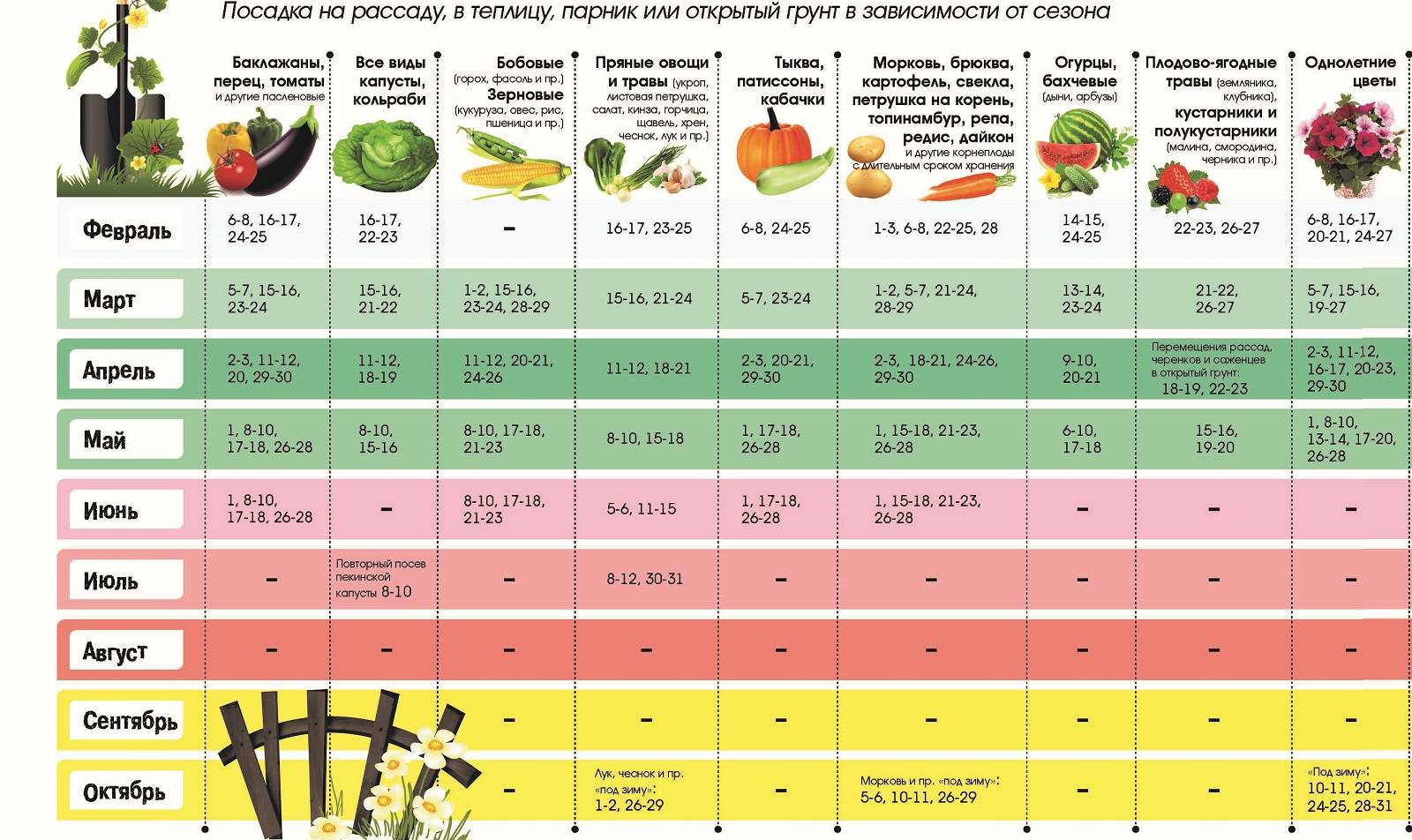 Календарь высадки помидор. Сроки высадки рассады овощей в открытый грунт. Сроки посадки овощных культур в открытый грунт. Семена овощей на рассаду когда какие сажать. Таблица высадки овощей на рассаду.