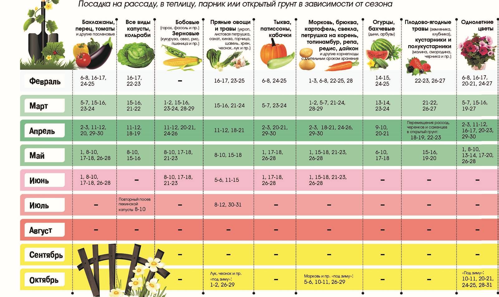 Календарь цветовода 2023. Таблица посева на рассаду и в открытый грунт. Сроки высадки рассады овощей в открытый грунт. Таблица посева семян на рассаду в открытый грунт. Календарь высадки семян на рассаду 2021.
